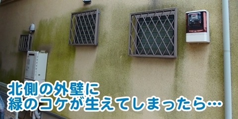 outer-wall-moss モルタル外壁がコケっぽく緑になったら…