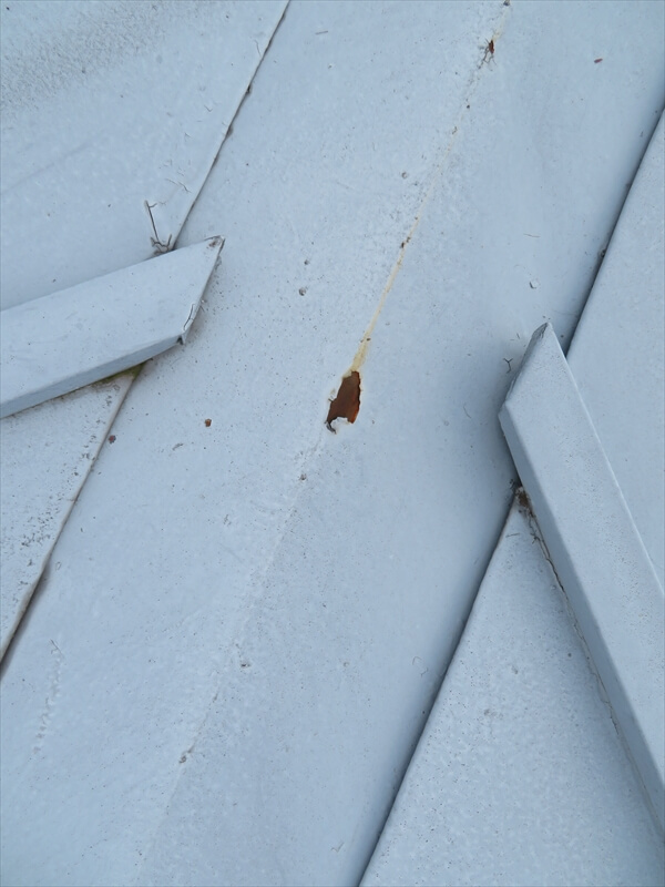 屋根の塗膜が剥がれたところからサビが発生しています。