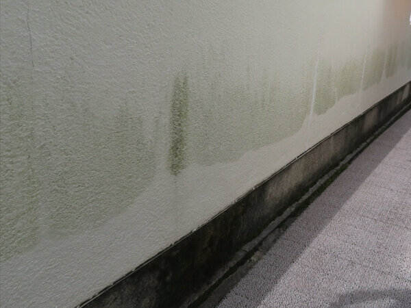 ベランダの内側は湿気がこもりやすいため、緑のコケ汚れがついていました。