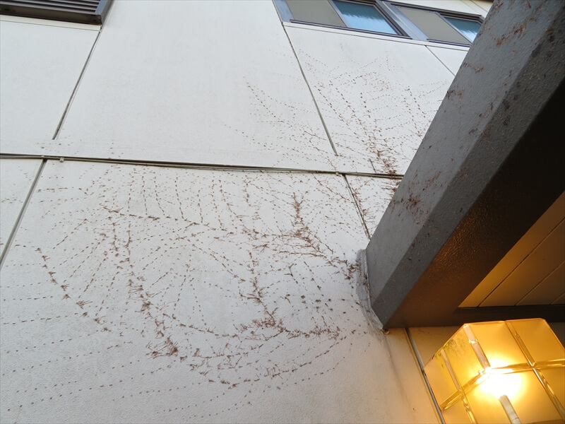 ツタが壁をはった跡は、そのまま塗装すると凸凹になるので、跡を取り除く作業が必要になります。