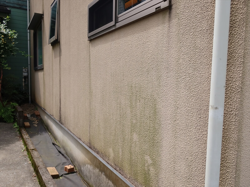 壁の下部分に多いコケ汚れは残念ながら「伝い水防止水切り」では防げません。