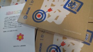 めんべい　かつお味