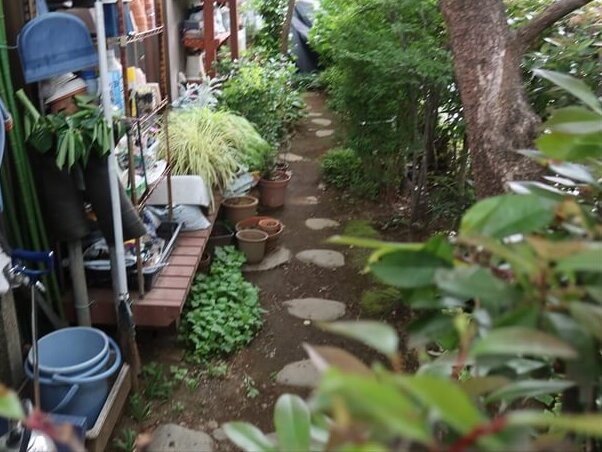 植木の多い庭は、足場の柱を立てる場所をしっかりと考える必要があります。