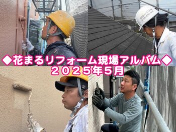 2025年５月現場アルバムサムネイル