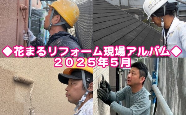 2025年５月現場アルバムサムネイル