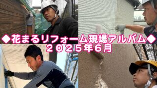 2025年6月現場アルバムサムネイル