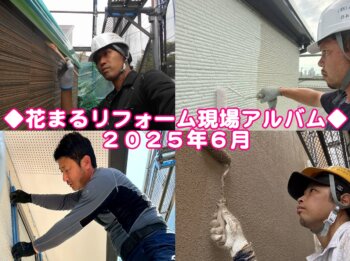 2025年6月現場アルバムサムネイル