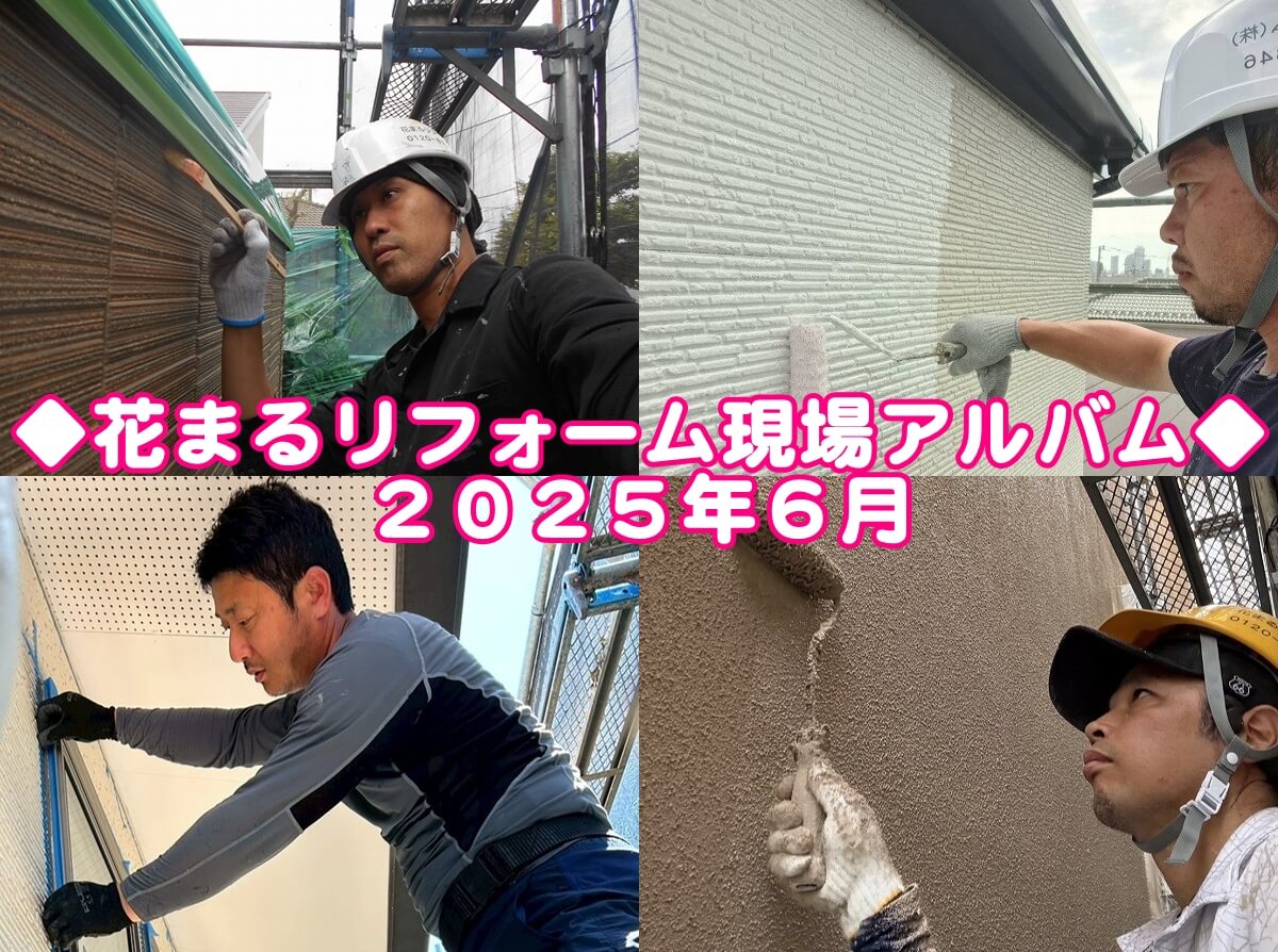 2025年6月現場アルバムサムネイル
