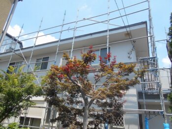 外壁塗装 世田谷区S様邸 塗装完了20250723S__42565637_0